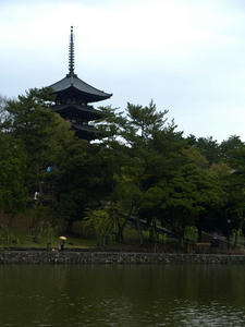P4108640shuusei.JPG
