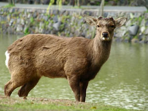 P4108646shuusei.JPG