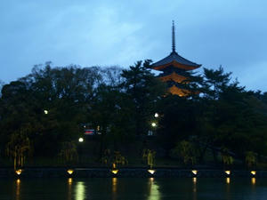 P4108765shuusei.JPG