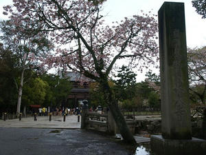 P4108688shuusei.JPG