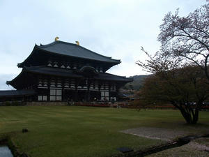 P4108712shuusei.JPG