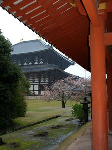 P4108743shuusei.JPG