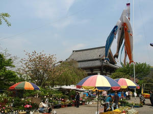 P4238819shuusei.JPG