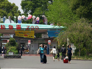 P4238895shuusei.JPG