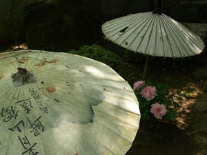 P4238908shuusei.JPG