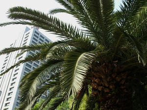 P4239052shuusei.JPG