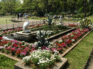 P4239025shuusei.JPG