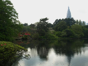 P4239113shuusei.JPG