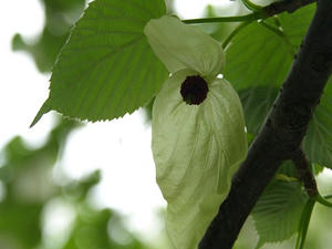 P4239156shuusei.JPG