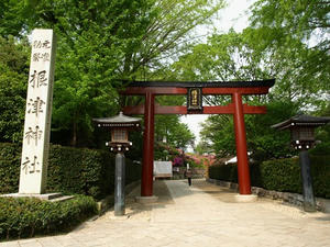 P4289173shuusei.JPG