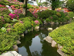 P4289177shuusei.JPG