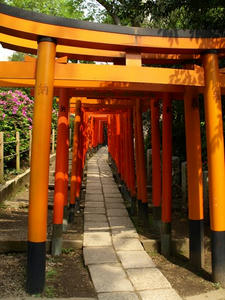 P4289186shuusei.JPG