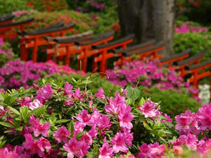 P4289219shuusei.JPG