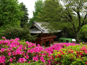 P4289227shuusei.JPG