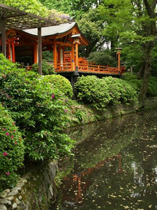P4289280shuusei.JPG