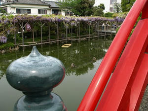 P4289293shuusei.JPG