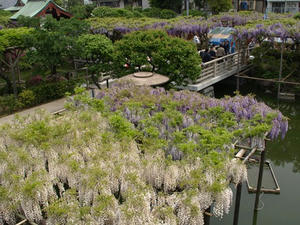 P4289297shuusei.JPG