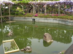 P4289314shuusei.JPG