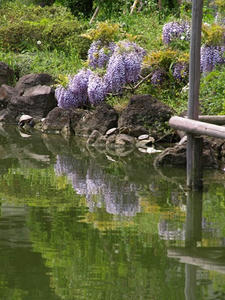 P4289313shuusei.JPG