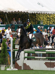 P5059581shuusei.JPG
