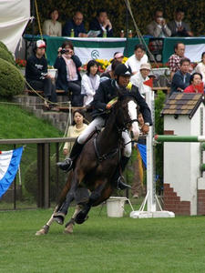 P5059582shuusei.JPG