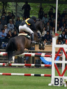 P5059585shuusei.JPG
