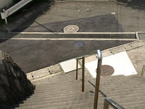 P5079763shuusei.JPG