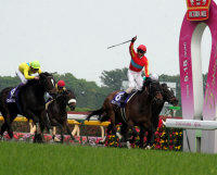 20080518-00000017-spnavi-horse-thum-000.jpg