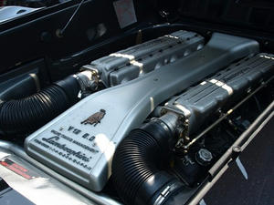 P5181126shuusei.JPG