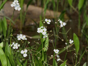 P5079808shuusei.JPG