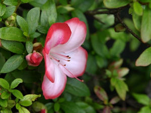 P5079849shuusei.JPG