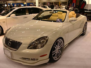 P5180855shuusei.JPG