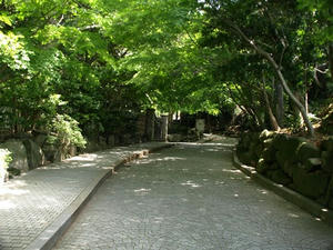 P5070030shuusei.JPG