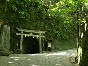P5070115shuusei.JPG