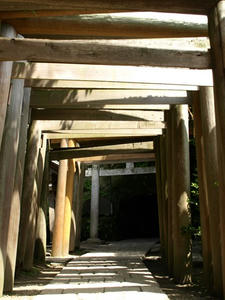 P5070118shuusei.JPG