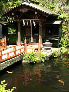P5070121shuusei.JPG