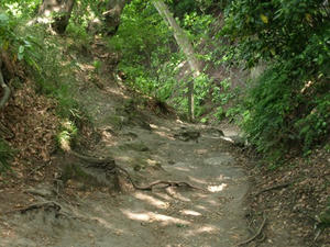 P5070142shuusei.JPG