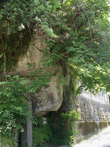 P5070148shuusei.JPG