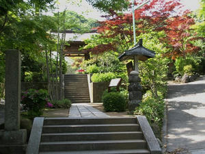 P5070152shuusei.JPG