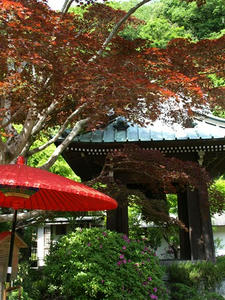 P5070165shuusei.JPG