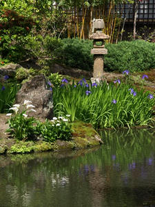 P5070179shuusei.JPG