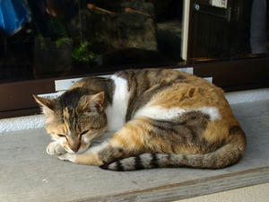P5070255shuusei.JPG