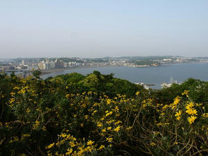 P5070317shuusei.JPG