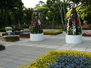 P5070296shuusei.JPG