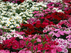 P5070298shuusei.JPG