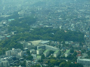 P5231564shuusei.JPG