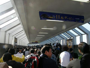 P6010001shuusei.JPG