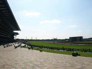 P6013024shuusei.JPG