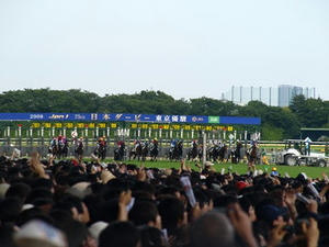 P6013414shuusei.JPG