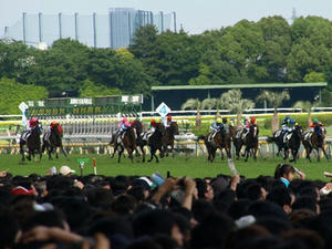 P6013463shuusei.JPG